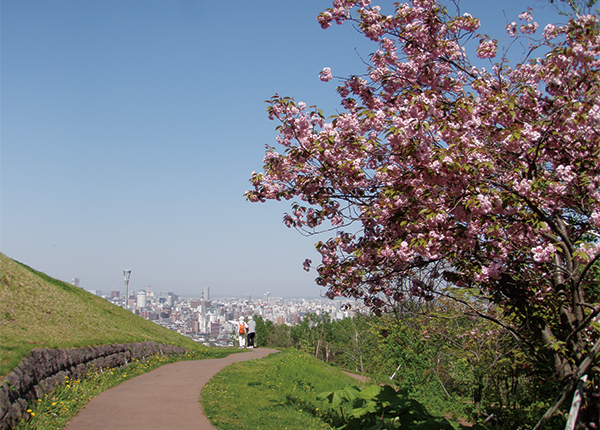 【札幌】絶景の旭山記念公園と藻岩山山麓でお花見さんぽ。周辺のおすすめグルメ、立ち寄りスポットをご紹介 