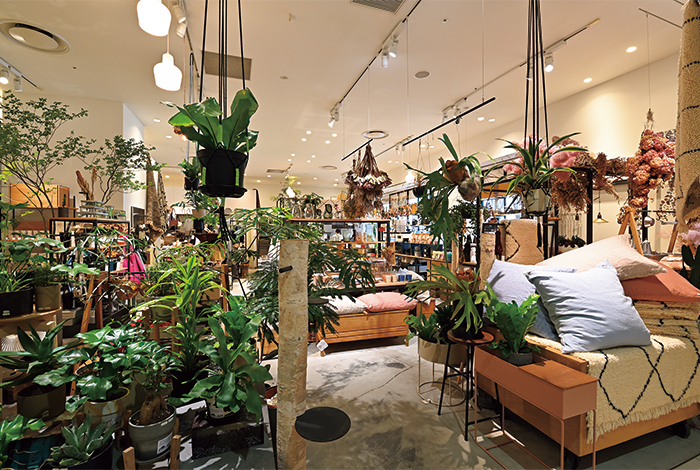 Suu 札幌ステラプレイス店 Poroco ポロコ 札幌がもっと好きになる おいしく 楽しく 札幌女子のためのwebサイト