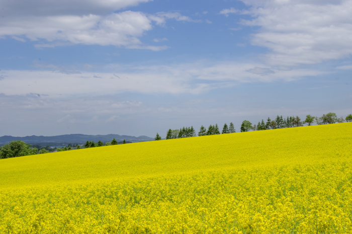安平町の ポッポらんど に行ってきました Poroco ポロコ 札幌がもっと好きになる おいしく 楽しく 札幌女子のためのwebサイト