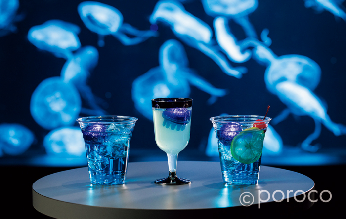 札幌】神秘的な生命の世界への入口。大人こそ楽しめる都市型水族館