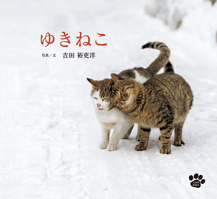写真集 ゆきねこ かべねこ 発売記念写真展 Poroco ポロコ 札幌がもっと好きになる おいしく 楽しく 札幌女子のためのwebサイト