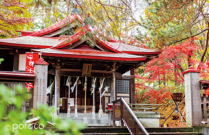 札幌伏見稲荷神社」連なる朱塗りの鳥居が幻想的な市内屈指のパワー