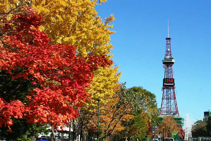 紅葉の見えるレストラン カフェ 札幌周辺の紅葉 おすすめスポットをご紹介 Poroco読者モニター250名に聞きました Poroco ポロコ 札幌 がもっと好きになる おいしく 楽しく 札幌女子のためのwebサイト