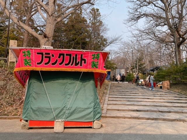 円山エリア 桜の様子 最新情報 Poroco ポロコ 札幌がもっと好きになる おいしく 楽しく 札幌女子のためのwebサイト