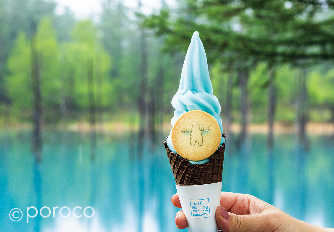 Colorful Cream｜ショップ情報｜poroco ポロコ｜札幌がもっと好きに