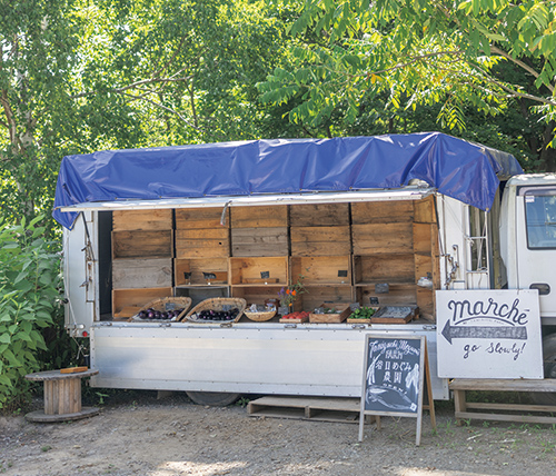 谷口めぐみ農園・写真