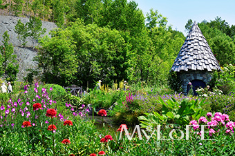 MyLoFE サンプル03