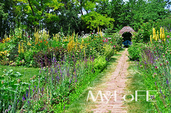 MyLoFE サンプル04