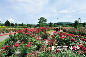 北海道生活 サンプル07