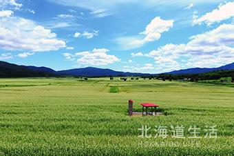 北海道生活 サンプル04