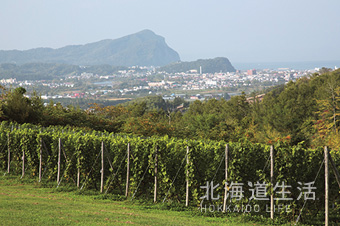 北海道生活 サンプル10