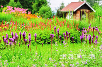 北海道生活 サンプル12