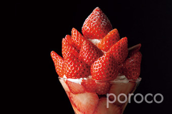 poroco サンプル04