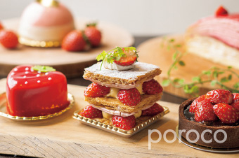 poroco サンプル05