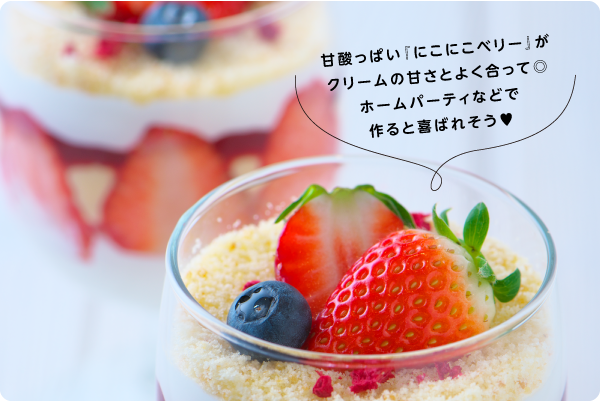 にこにこベリーのトライフル_photo