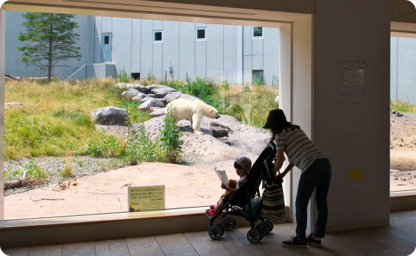 ホッキョクグマ館2