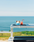 石狩湾を一望！厚田の絶景カフェ「OLA GA TOCHI」で空と海を眺めるひととき