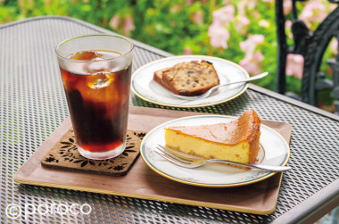 札幌で、緑に癒やされる。 庭の見えるカフェ おすすめ4選