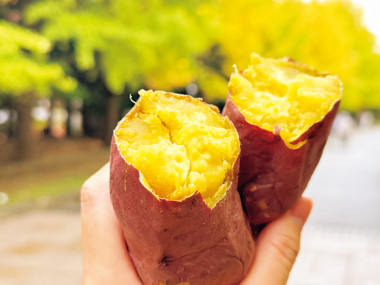 「さっぽろ焼き芋テラス2026」10/23（金）～11/3（祝・火）開催