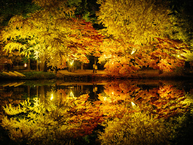 SAPPORO AUTUMN ILLUMINATIONS 中島公園紅葉ライトアップ