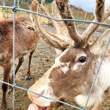 【北海道・幌延町】豊かな自然を活かした酪農業と、 エネルギー産業が共存するまち